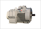 High Voltage Motors