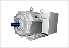High Voltage Motors
