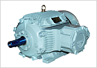 High Voltage Motors